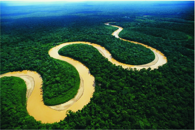 VIAJE AL AMAZONAS