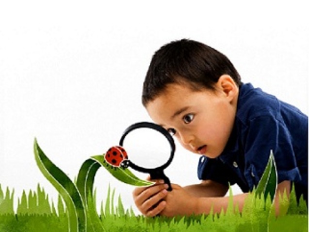 T 2. APRENDIZAJE POR DESCUBRIMIENTO - J. BRUNER