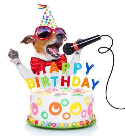 el meu primer  cumple