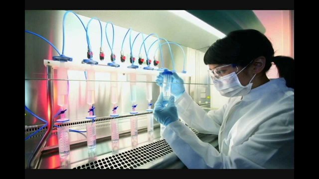 Historia de la Tecnología en Mexico