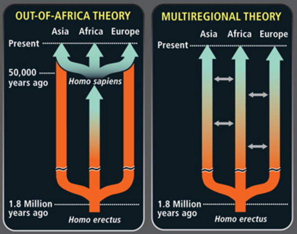 1984, Εφαρμογή της ανάλυσης DNA στη διερεύνηση της εξέλιξης του ανθρώπου