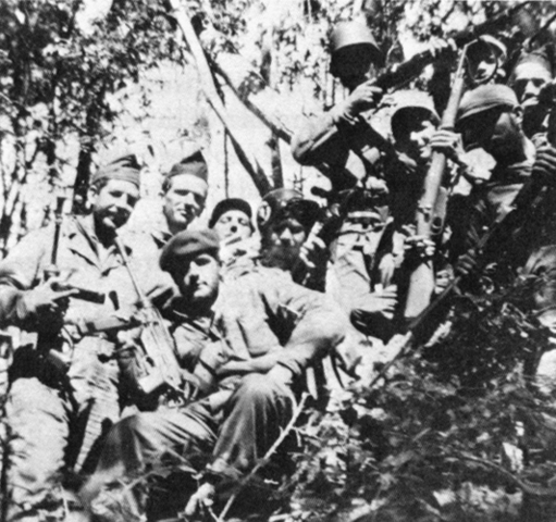 Las guerrillas locales que apoyan la invasion atacan a San German