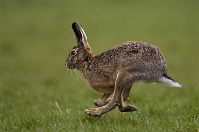 La 1era caceria amb el meu avi.