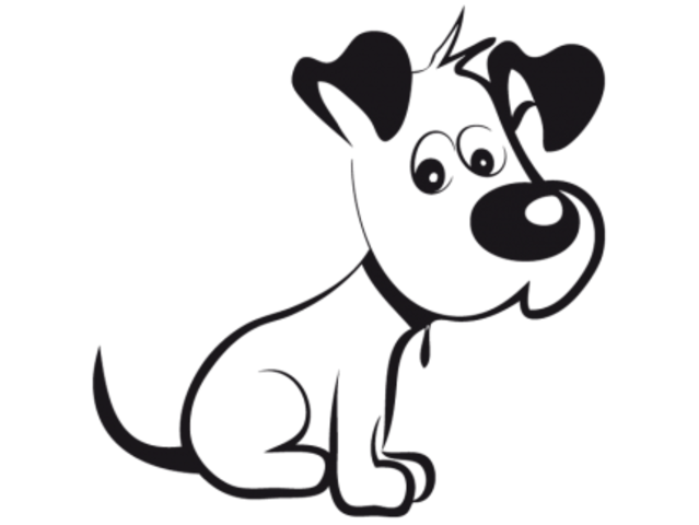 Vais adoptar a la meva primera gossa "Gina"