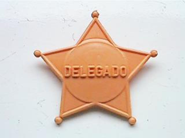 Delegada