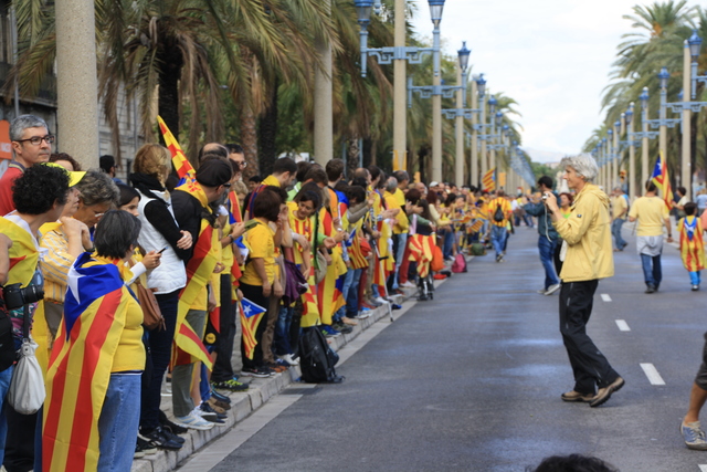 Diada 2013 (fet cultural)