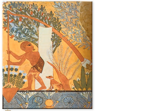 öntözéses földművelés a Nílus mentén