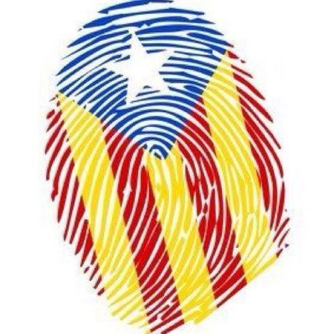 Diada de Catalunya (social)