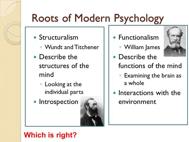 Inicios de las conceptualizaciones en el siglo XIX