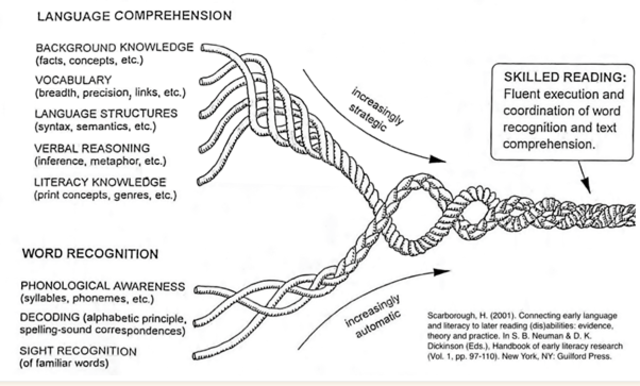 Early Literacy Grant