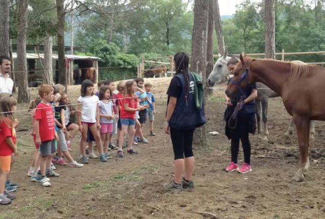 Vaig per primer cop de colonies amb l'escola