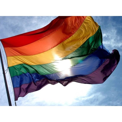 Llei del matrimoni gay(social)