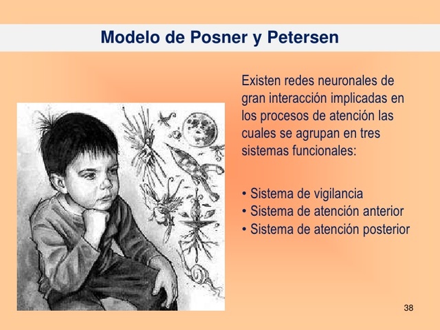 Modelo de atención de Posner y Petersen