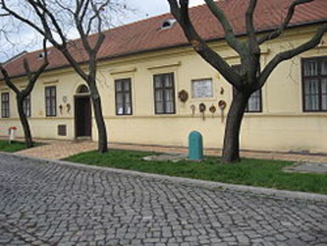 Erkel Ferenc a nemzeti opera megteremtője, a magyar Himnusz megzenésítője, kiváló sakkozó születése Gyulán.