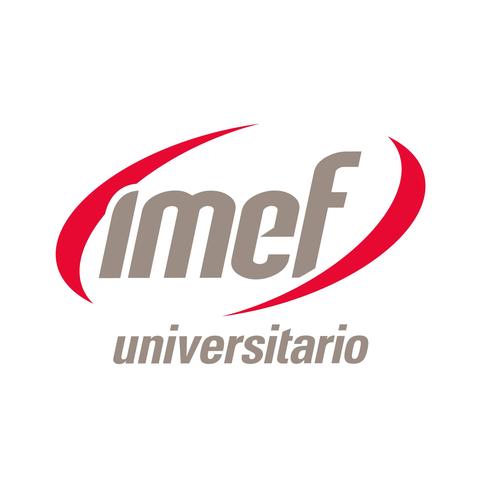 VP Responsabilidad Social. IMEF