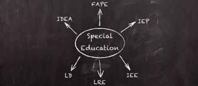 IDEA 2004 Part C Amendment