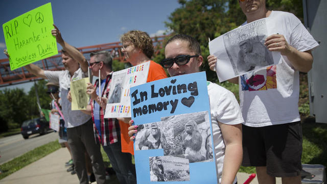 Protesta contra el asesinato de Harambe