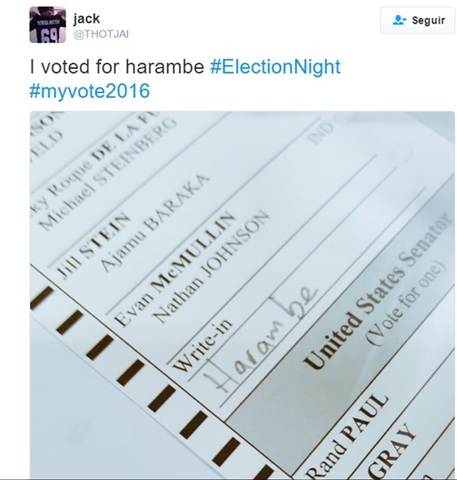 Voto a Harambe