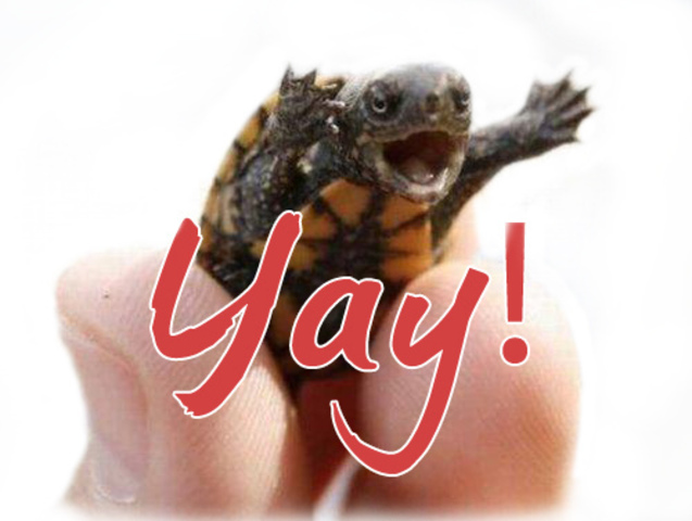 Ella Scanlon's Birthday