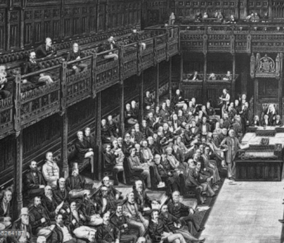 How the Government Functions