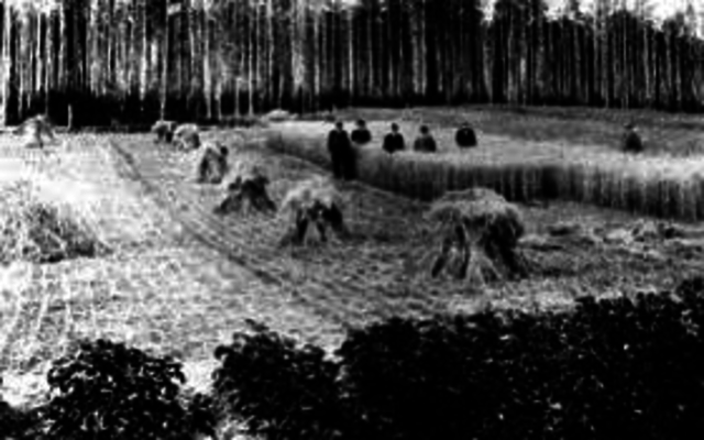 first agricultural experiment in Alaska