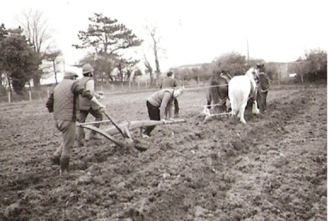 Contemporary Period: Agriculturism