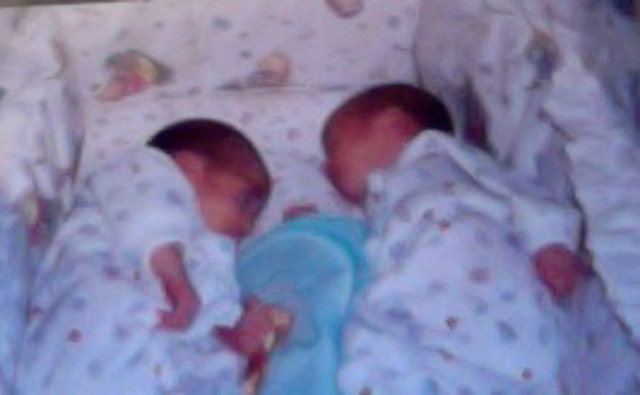 Lauren Michelle Spedaliere and Erin Spedaliere were born