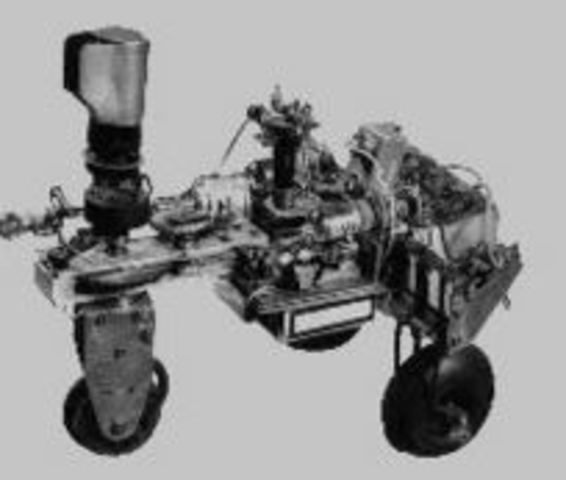 tortue cybernetiquede walter