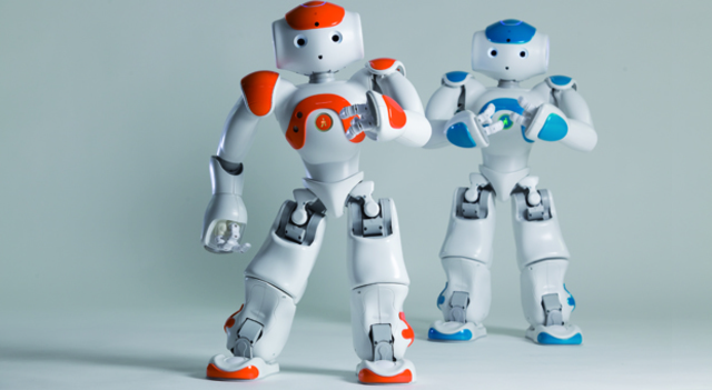 Robot nao