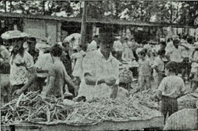 Programa de promoción profesional popular rural