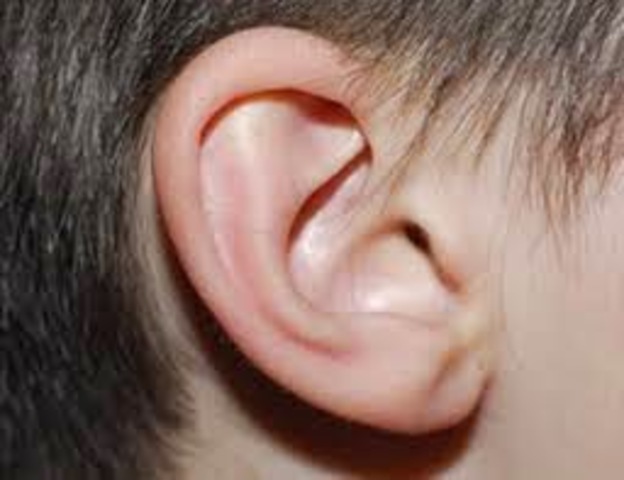 M'operen de l'orella