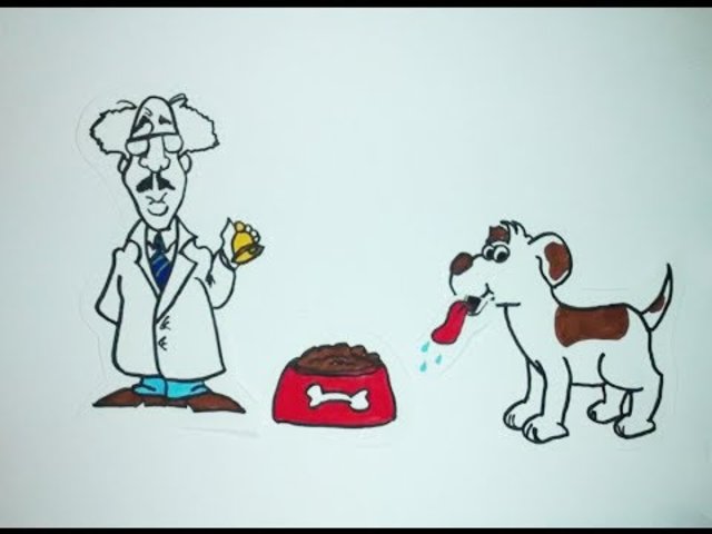 Experimento con perros