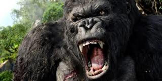 Peter Jackson remade King Kong