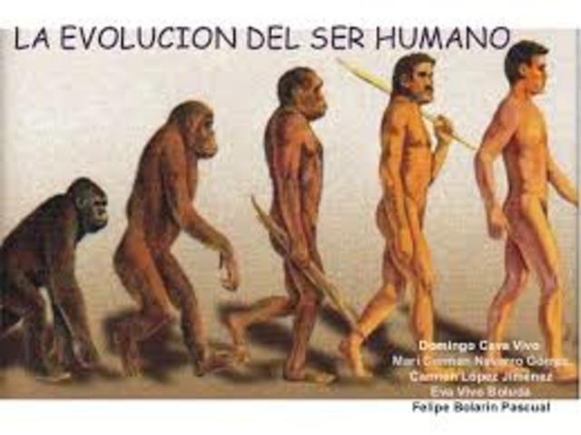 Evolución del humano