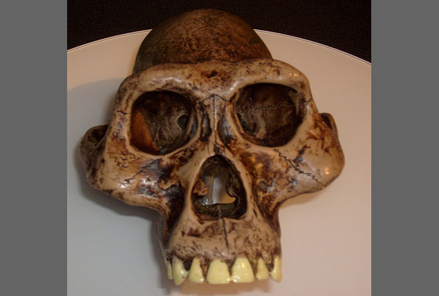 El descubrimiento de Lucy