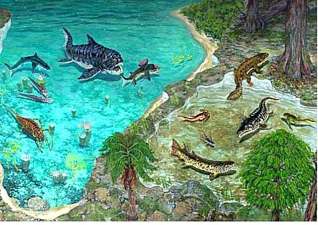 Devonian Period MA