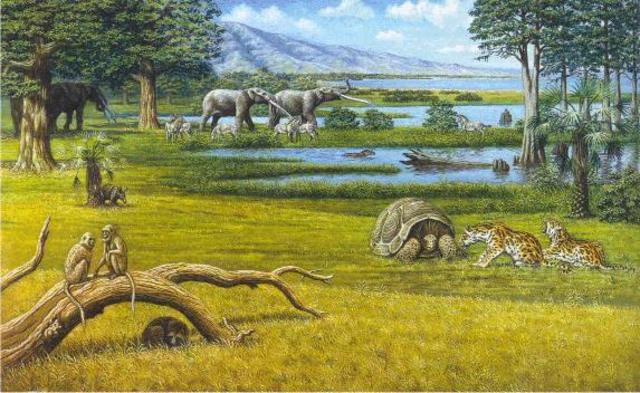 Pliocene Period MA