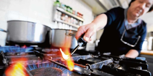 Estufa Eléctrica (Uso en la Actualidad)