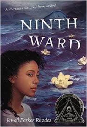 The Ninth Ward