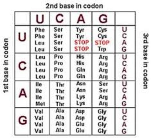 Codon Cart