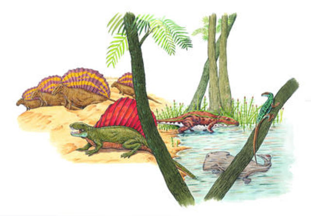 Piacenzian age 3 million years