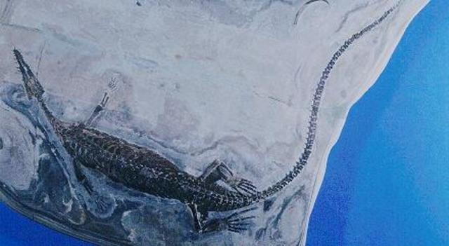 Triassic  250 million years