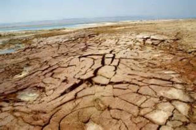 Miocene 5.96 million years