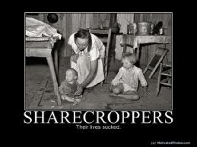 Miss Jane moves to a new plantation