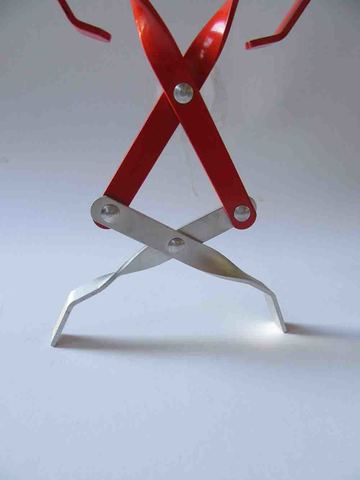 Forcipibus Anicularum