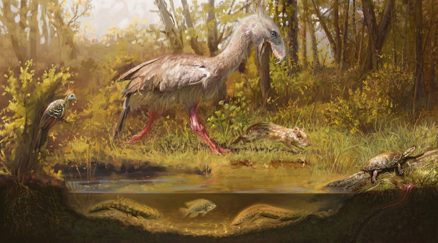 Eocene Epoch (55.8 MA)