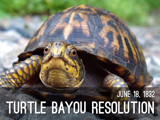 Turtle Bayou Resolutions