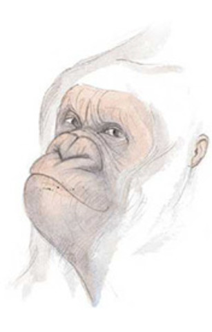 Mort del Fluquet de neu