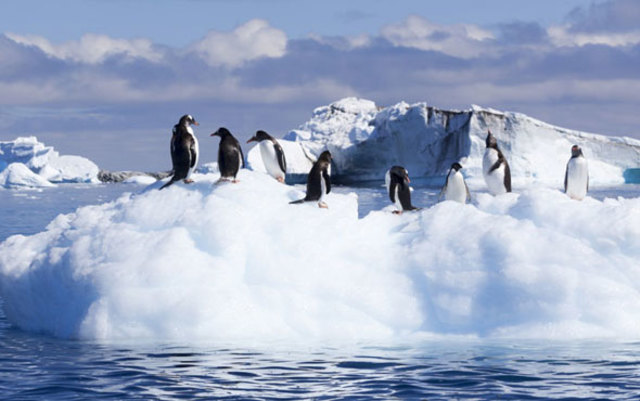 Antarctica