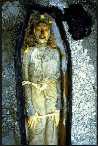 History Happens Article Written